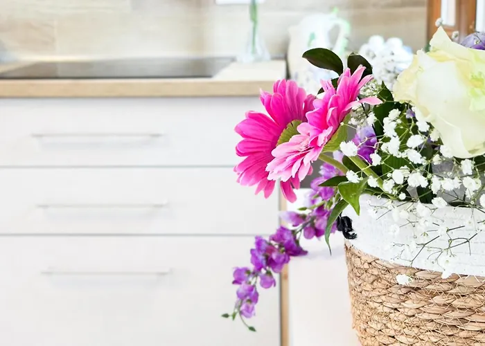 Casa Solare By Ca-sa Check *